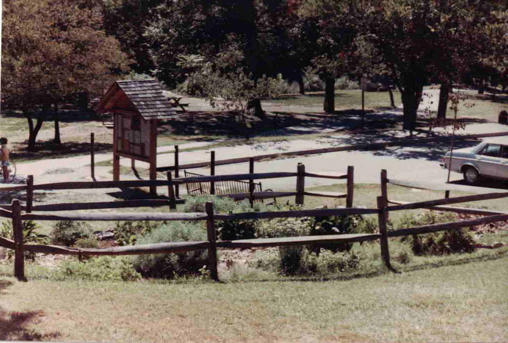 Photograph of a garden surrounded by a wooden fence.