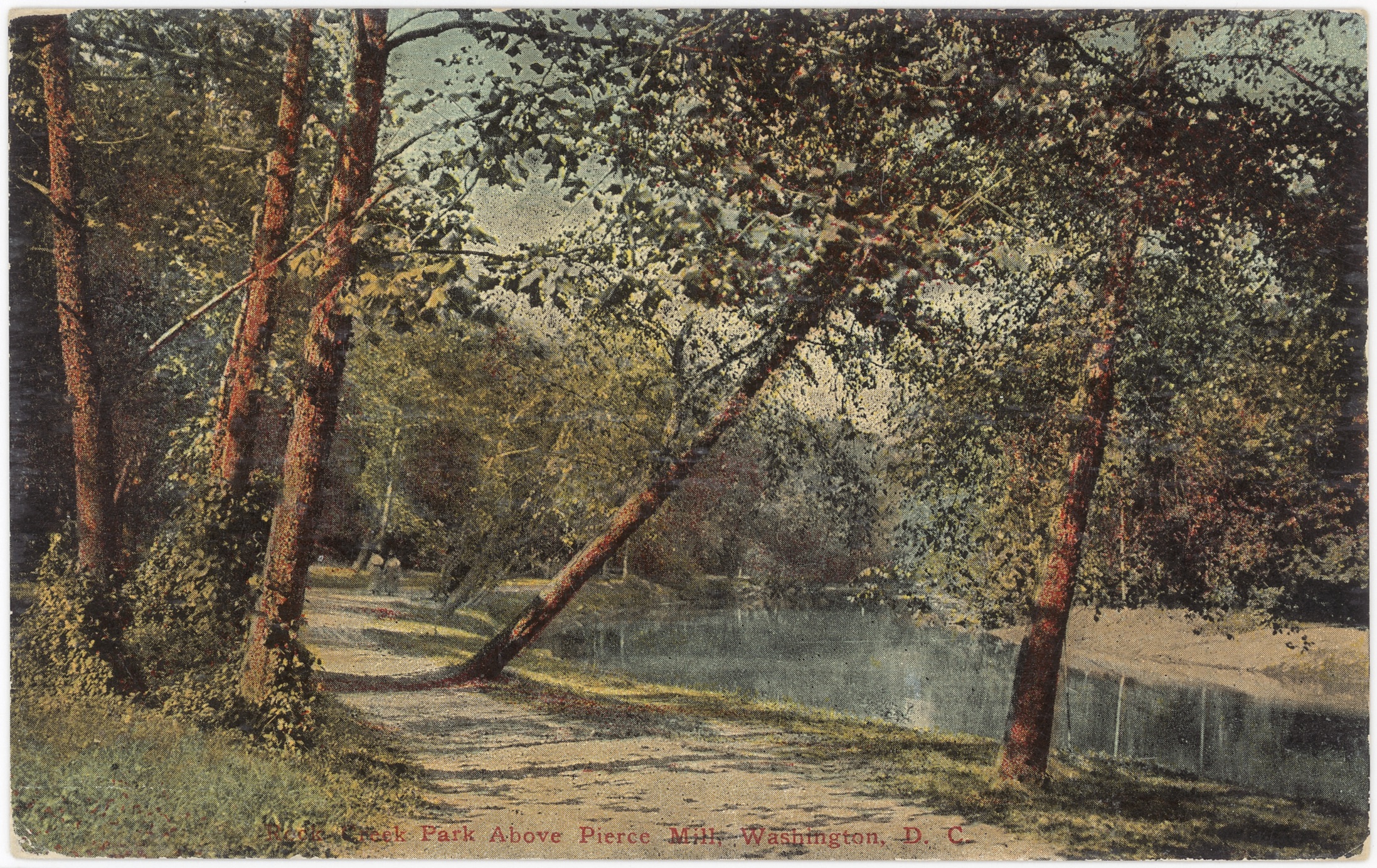 Colorful old postcard of a path along a tree-lined creek.