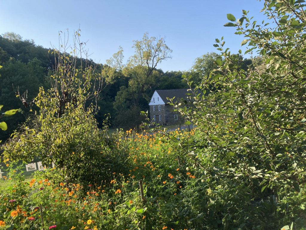 A History of the Orchards Near Rock Creek - Friends of Peirce Mill