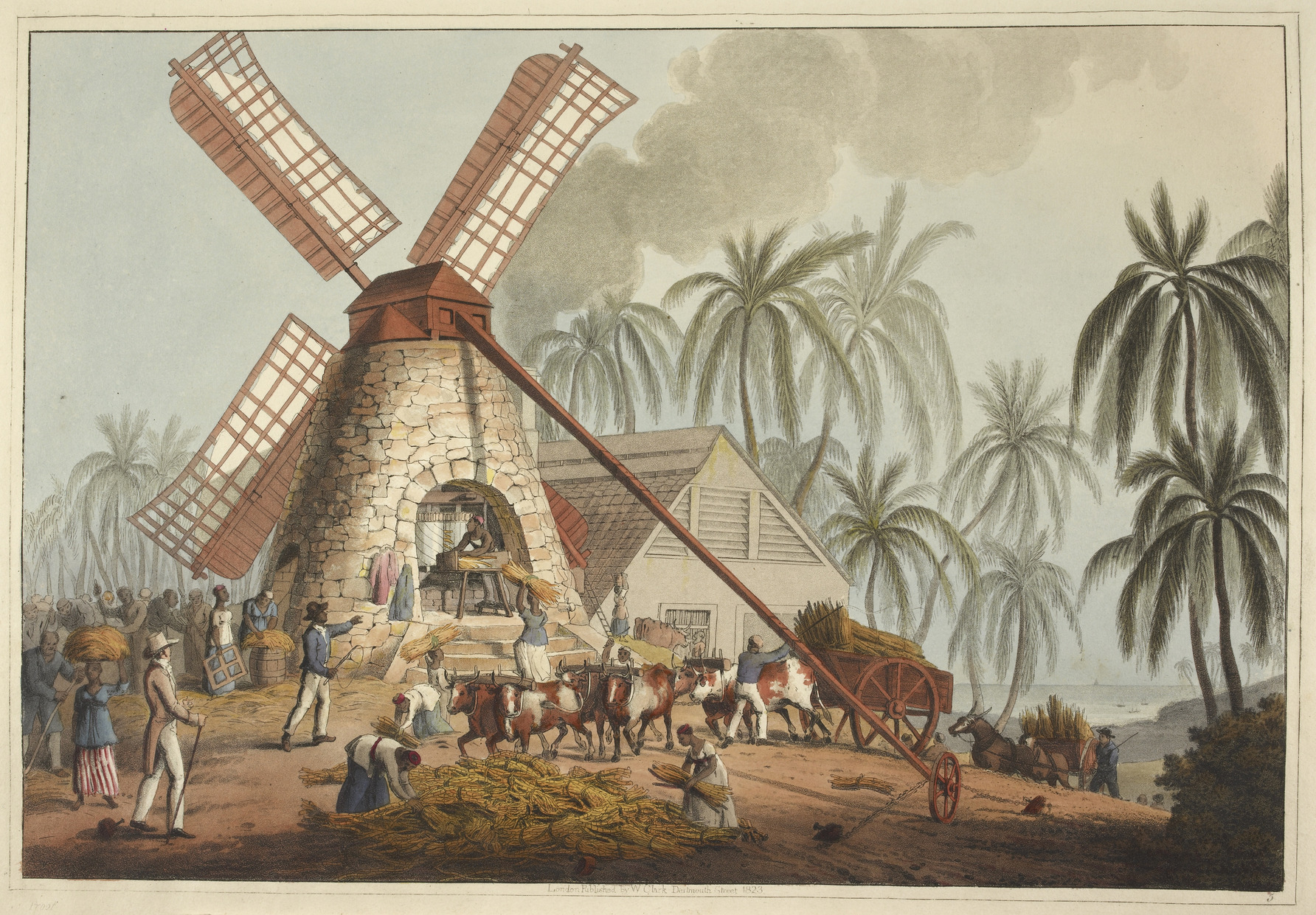 Old color engraving of enslaved people working at a Caribbean sugar plantation with a wind mill