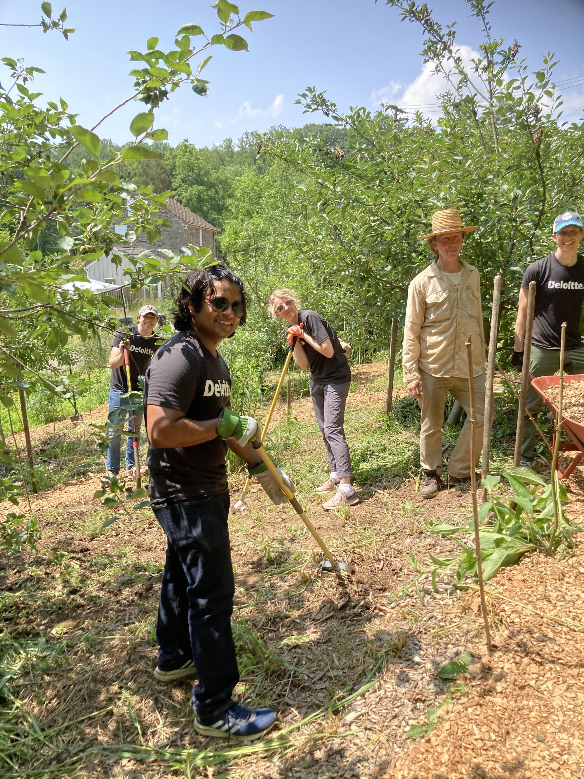 A group of volunteers work in an orchard, one wears a shirt that says "Deloitte"