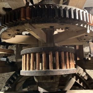 Gear Still Photo of wooden gears